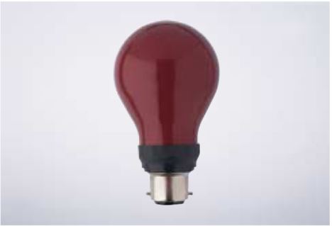 Лампа накаливания Dr. Fischer 230V 15W E27 A.60x104 red dark room