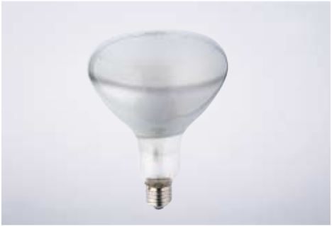 Лампа галогенная Dr. Fischer 220V 500W E27 R.125x168