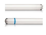 Лампа ультрафиолетовая Philips Actinic BL TL-D TL-DK 36W/10 Secura 1SL/25