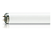 Лампа ультрафиолетовая Philips Actinic BL TL-K 40W/10-R