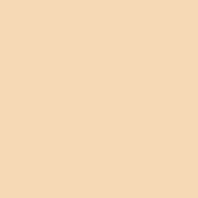 Светофильтр пленочный LEE #205 Half C.T. Orange Roll 7,62 x 1,22m
