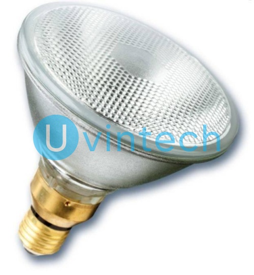 Лампа галогенная LightBest LBH PAR38 120W 24V E27