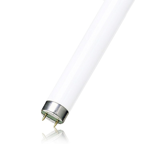 Лампа инсектицидная в ловушки для насекомых LightBest BL 10W T8 G13 355-385nm L=331mm (FL10BL368)